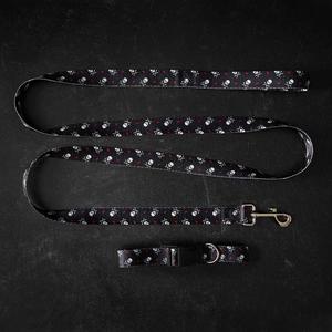 Crossbone Collar and Leash Buy Cheap Outlet Locations