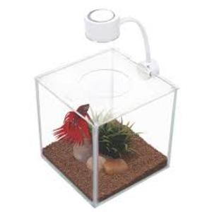 Marina Cubus Glass Betta Kit Sale Official
