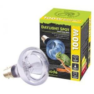 Komodo Daylight Spot: 50W, 75W, 100W, 150W Cheap Hot Sale