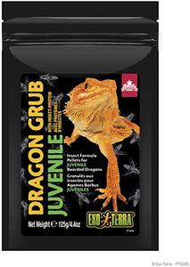 Dragon Grub Juvenile: 35g Store Online