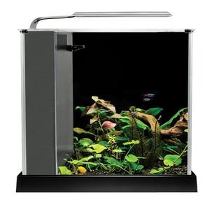 Fluval Spec 2.6 Gal Freshwater Kit Discount Pay With Paypal