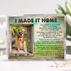 Custom Personalized Memorial Photo Acrylic Plaque - Memorial Gift Idea for Pet Owners - I Made It Home Buy Cheap 2025 Newest