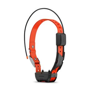 Garmin Alpha TT 25 GPS Dog Tracking and Training Collar Cheap Footlocker