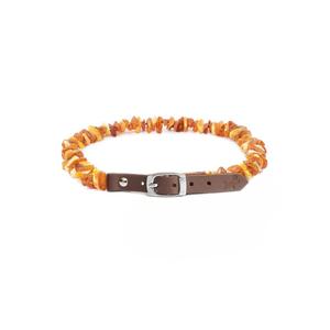 Amber Dog Collar for Fleas & Ticks Outlet Order