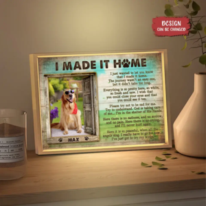 Custom Personalized Memorial Photo Lighting Frame Canvas - Memorial Gift Idea for Pet Owners - I Made It Home Cheap Comfortable