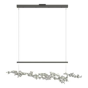 Coral LED Pendant Outlet View