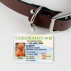 Custom Photo Pet ID Tags - Drivers License - Colorado Clearance Tumblr