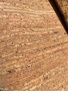 Thin Bark Stripe Natural Cork (lightweight) Free Shipping Shop