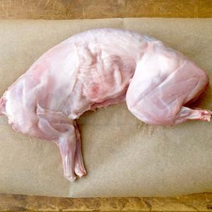 Pastured Whole Rabbit For Cheap Sale Online