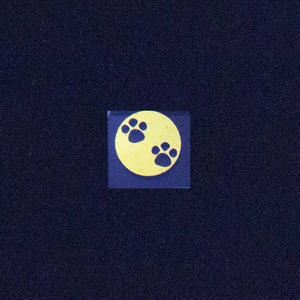 Paws Image Looking For