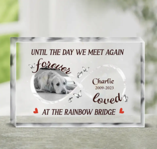 Custom Personalized Memorial Acrylic Plaque - Upload Photo - Memorial Gift Idea For Dog Owners - Until The Day We Meet Again At The Rainbow Bridge Finishline Sale Online