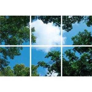Wolk-bos plafond | Fotoprint | verdeeld over 6 panelen | 60x60cm Discount Fashionable