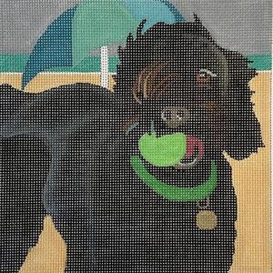 Beach Happy Dog with Ball Get To Buy Cheap Pice