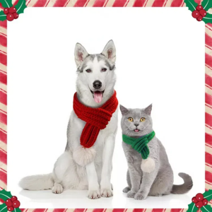 Merry Christmas Pet Knitted Scarf Clearance Official