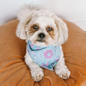 Lovers Beach Dog Bandana - Small Safe Shopping Cheap Online