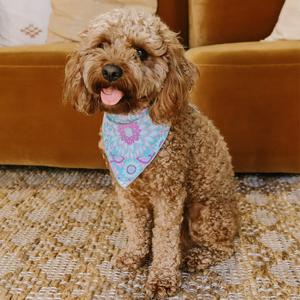 Lovers Beach Dog Bandana - Medium Sale New