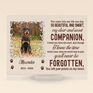Personalized Custom Photo Pet Loss Acrylic Plaque -  Memorial Gift Idea For Pet Lover - Paw Prints On My Heart Clearance Fast Delivery