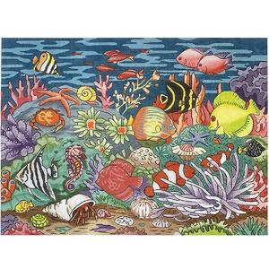 Saltwater Fish Tank Outlet Affordable