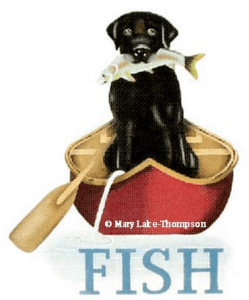 Fish with Black Dog Discount Collections