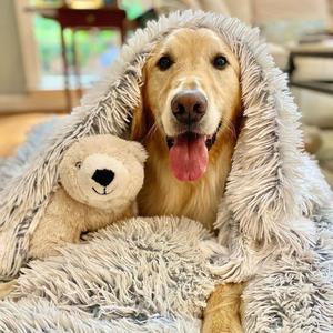 MrFluffyFriend™ - Anxiety Relieving Fluffy Pet Blanket Big Sale Cheap Online