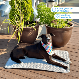 MrFluffyFriend™ - Ultimate Cooling Mat for Pets Cheap Sale Geniue Stockist