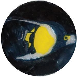 Angel fish milli Outlet Exclusive