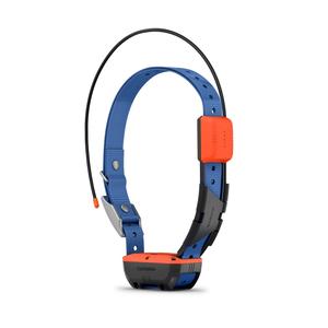 Garmin Alpha T 20 GPS Dog Tracking Collar Wiki Cheap Pice