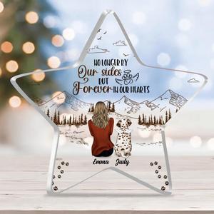 Custom Personalized Christmas Pet Star Acrylic Plaque - Memorial Gift Idea For Dog/Cat Owner With Up To 4 Pets - No Longer By Our Sides But Forever In Our Hearts Countdown Package