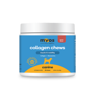 Canine Muscle & Mobility Collagen Chew Fashionable