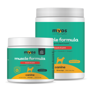 Canine Muscle & Joint Formula Free Shipping Popular