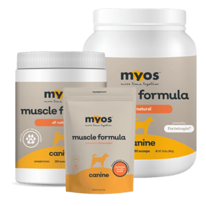 Canine Muscle Formula Outlet Cheap Pices