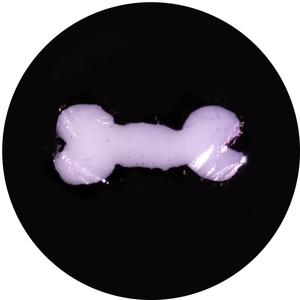 Dog bone milli Manchester Cheap Pice