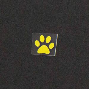 Dog Paw Image Buy Cheap 2025
