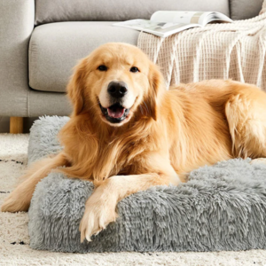 Orthopedic Dog Bed, Calming Dog Bed Ebay Cheap Pice