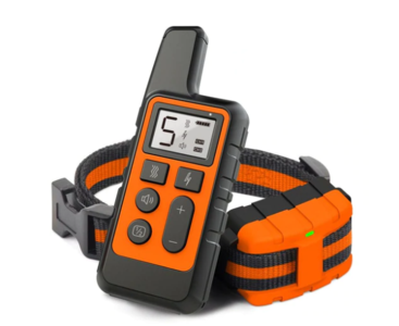 Dog Training Collar Discount Best Sale