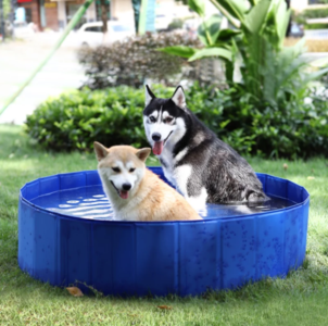 Outdoor Portable Dog Swimming Pool Shop Offer
