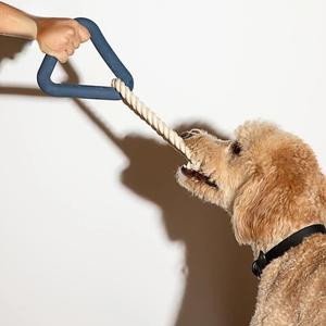Triangle Dog Chew Toy Clearance Footlocker Finishline