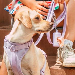 Dog Harness Walk Kit Wholesale Pice Cheap Pice