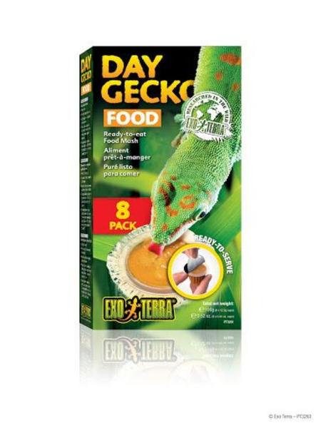 Day Gecko Food Enjoy Cheap Pice