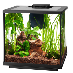 Aqueon 7.5G LED Shrimp Aquarium Kit Pre Order