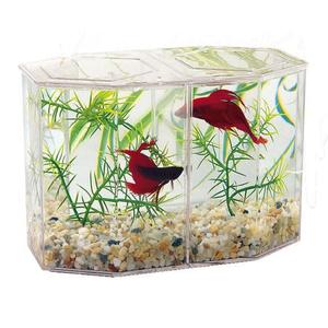 Betta Keeper Cheap Online Store