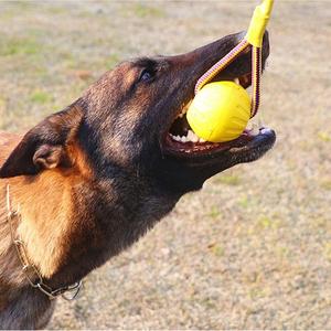 Dog Toy, Rope Ball Toy Sale Cheap Online