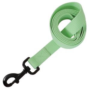Aspen Pet Glow In The Dark Leash Limited Edition