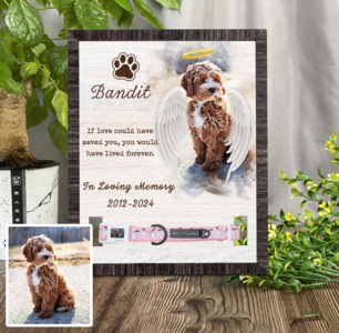 Watercolor Memorial Pet Collar Frame, Personalized Loss of Dog, Cat Loss Gifts, Pet Collar Holder, Bereavement Gifts Deals Cheap Pice