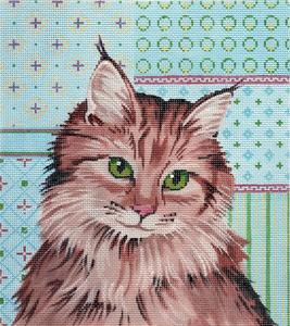 Maine Coone Cat Stockist Online