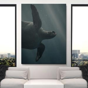Blue Creatures Under 70 Dollars