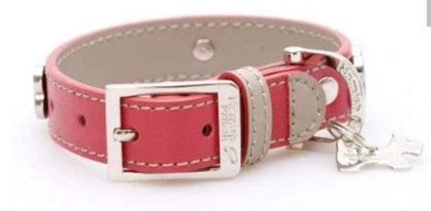 Red Bones Bling Dog Collar Shop Offer Cheap Online