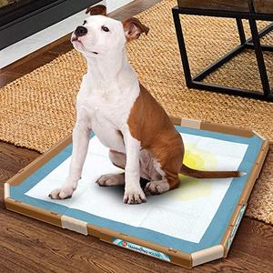 SIMPLE SOLUTIONS TRAINING PAD HOLDER Free Shipping Wiki