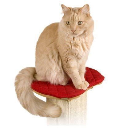 Scratching Post Perch Seat The Cheapest For Sale