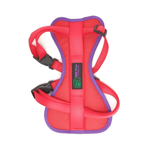 Safe Paws Dog Walking / Travel Harness cross- Small Cheap Amazon